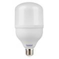 Высокомощная светодиодная лампа GLDEN-HPL-50-230-E27-6500  1/20