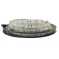 GLS-5050-30-7.2-12-IP65-RGB (5037)