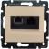Розетка компьютер+телефон скр/уст RJ-45/RJ-11 UTP CAT5E белая "Valena" (Legrand) 774180