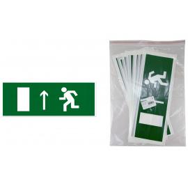 Знак "Направление к эвакуационному выходу прямо" 350х124мм для ССА TDM