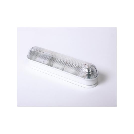 Светильник вандалоустойчивый ЛПБ 31-11-002 (КЛЛ 11Вт G23)  